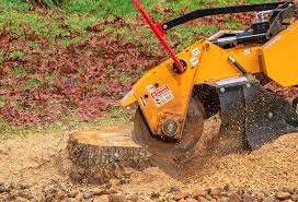 Best Soil Testing and Treatment  in Pine Hill, NJ